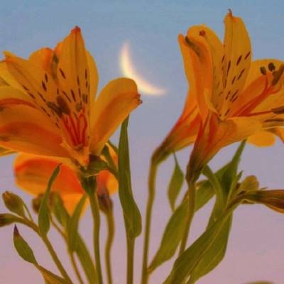 爱游戏APP·官方登录入口(ayx)app下载截图